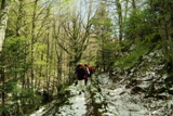 Clicca qui per vedere l'immagine in dettaglio